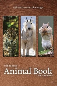 bokomslag Burgess Animal Book with New Color Images