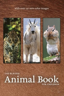 bokomslag Burgess Animal Book with New Color Images