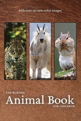 The Burgess Animal Book with new color images 1