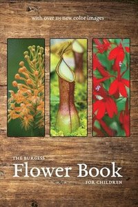 bokomslag The Burgess Flower Book with new color images
