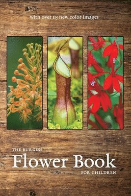 bokomslag The Burgess Flower Book with new color images