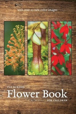 Thornton Burgess - Burgess Flower Book with new color images, Häftad