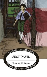 bokomslag Just David