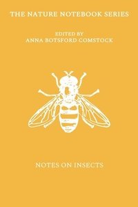 bokomslag Notes on Insects