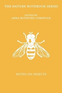 bokomslag Notes on Insects