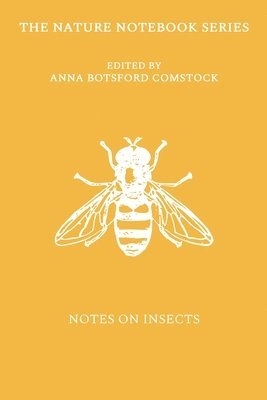 bokomslag Notes on Insects