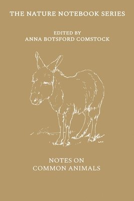 bokomslag Notes on Common Animals