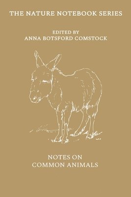 Anna Comstock - Notes on Common Animals, Häftad