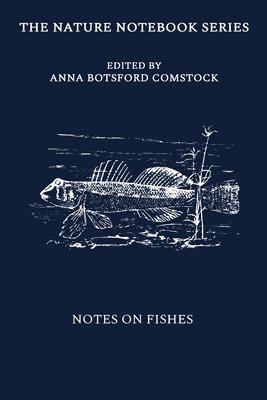 bokomslag Notes on Fishes