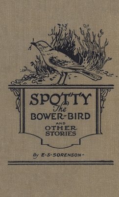 Spotty the Bower Bird 1