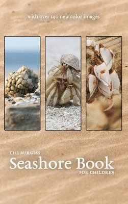 bokomslag Burgess Seashore Book with new color images