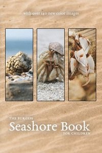 bokomslag The Burgess Seashore Book with new color images