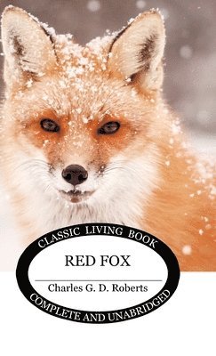 Red Fox 1