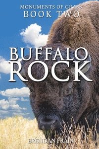 bokomslag Buffalo Rock