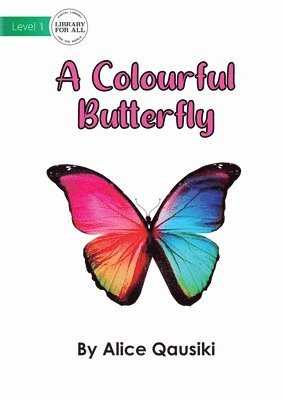 Colourful Butterfly 1