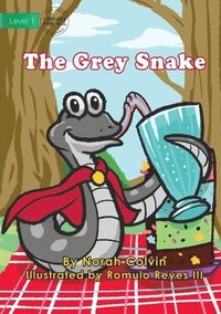 bokomslag The Grey Snake
