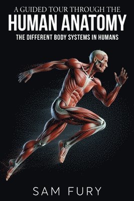 A Guided Tour Through the Human Anatomy 1