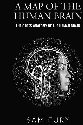 Map of the Human Brain