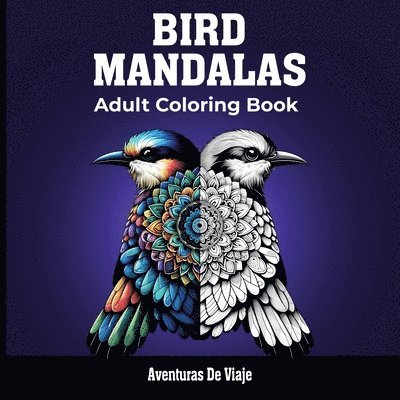 Bird Mandalas & Painted Moments 1