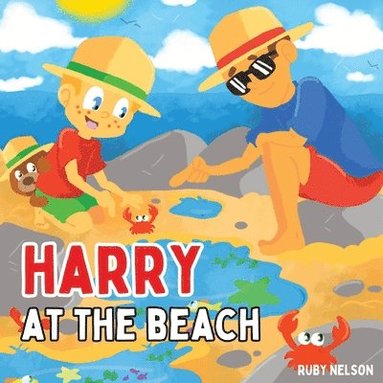 bokomslag Harry at the Beach