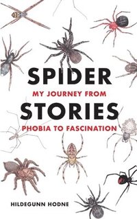 bokomslag Spider Stories