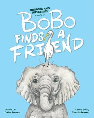 BoBo Finds a Friend 1