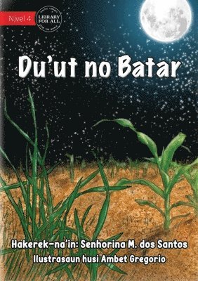 Grass And Corn Tree - Du'ut no Batar