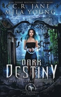 bokomslag Dark Destiny