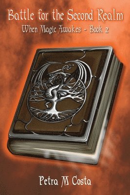 Battle for the Second Realm