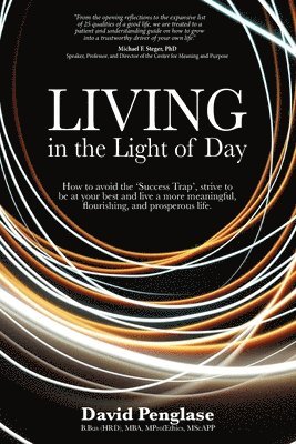 David Penglase - Living in the Light of Day, Häftad