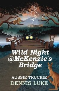 bokomslag Wild Night @ McKenzie's Bridge
