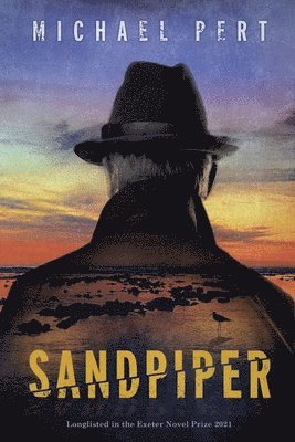 Sandpiper 1