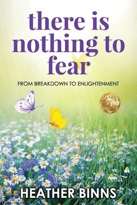 bokomslag There is Nothing to Fear