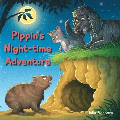 Pippin's Night-time Adventure 1
