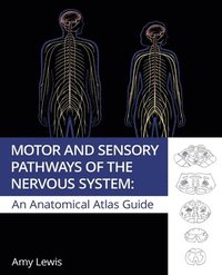 bokomslag Motor and Sensory Pathways of the Nervous System