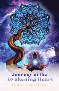 bokomslag Journey of the Awakening Heart