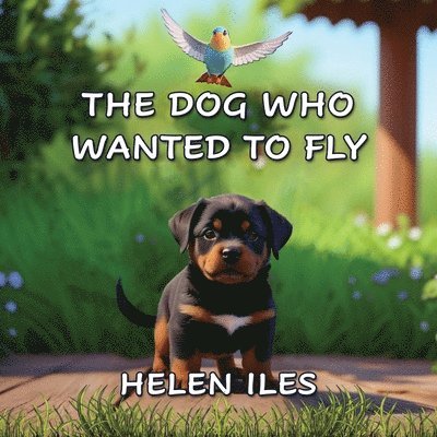 Helen Iles - Dog Who Wanted to Fly, Häftad