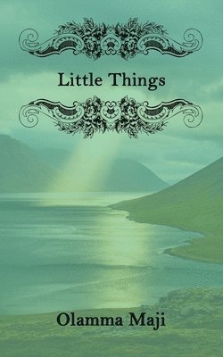 bokomslag Little Things