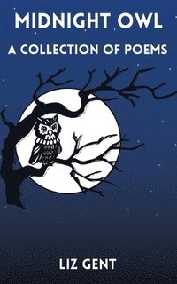 bokomslag Midnight Owl