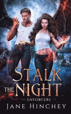 Stalk the Night 1