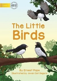 bokomslag The Little Birds
