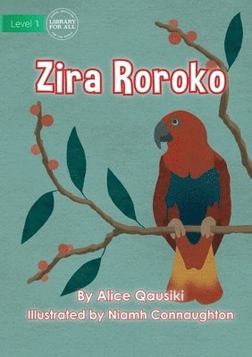Alice Qausiki - Birds - Zira Roroko, Häftad