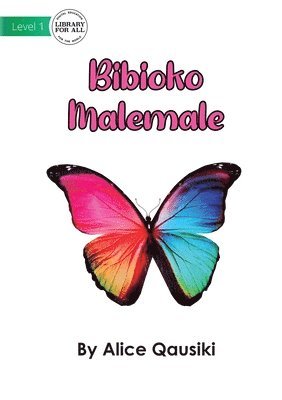 A Colourful Butterfly - Bibioko Malemale