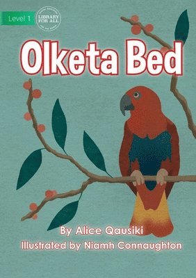 bokomslag Birds - Olketa Bed