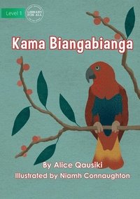 bokomslag Birds - Kama Biangabianga