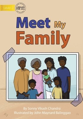 bokomslag Meet My Family