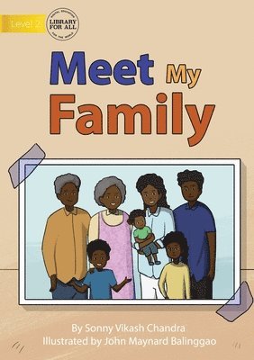 bokomslag Meet My Family