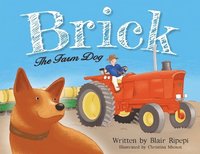 bokomslag Brick The Farm Dog