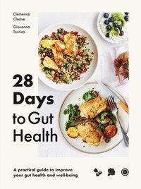 bokomslag 28 Days to Gut Health