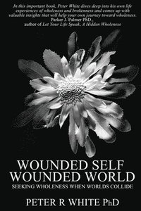 bokomslag Wounded Self Wounded World: Seeking Wholeness When Worlds Collide